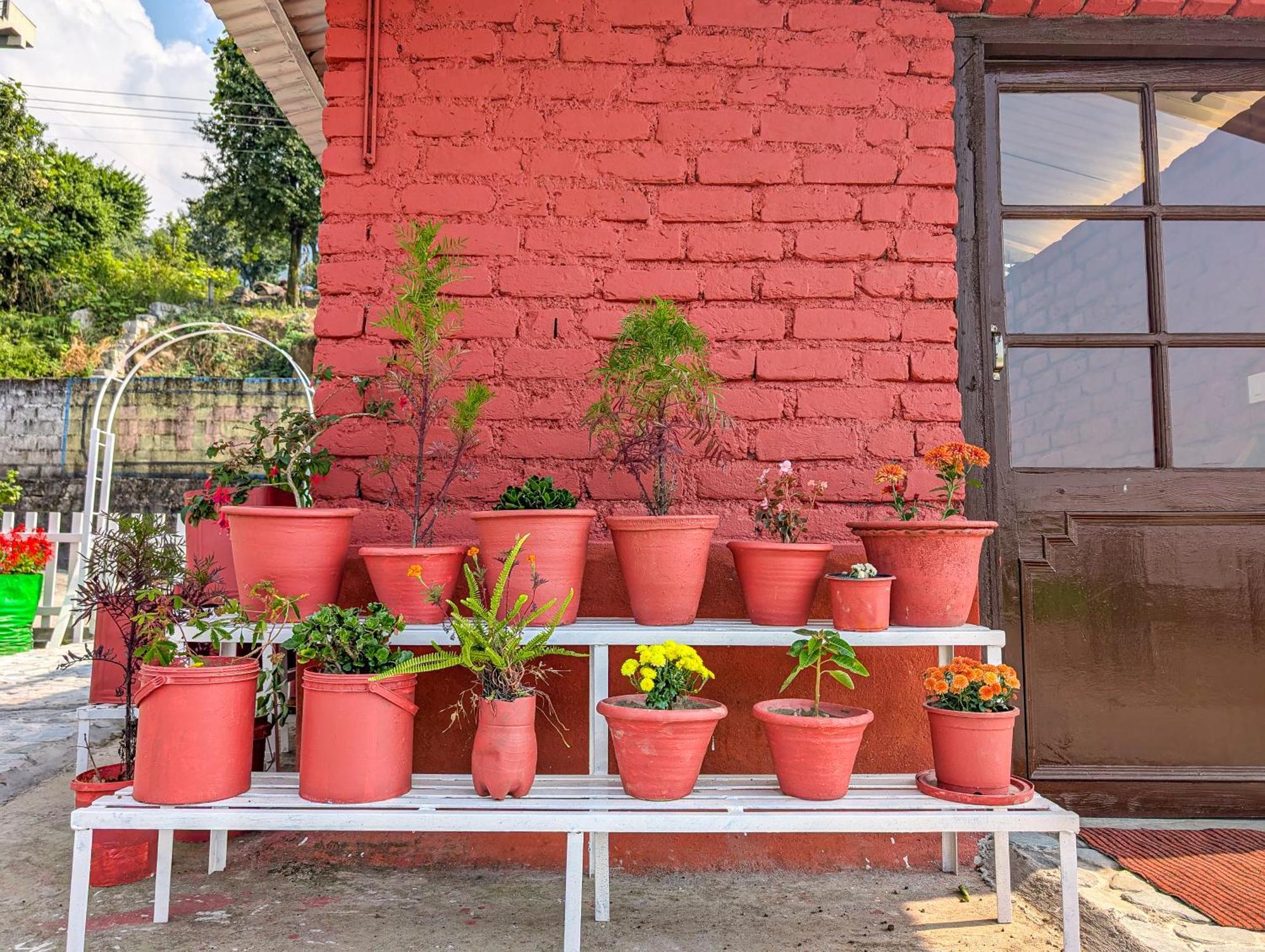 Hobo Hostel Dharamsala Exteriér fotografie